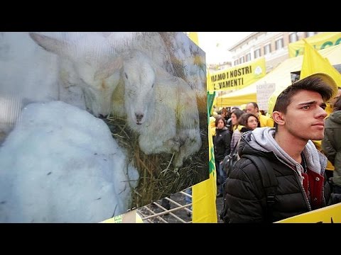 المزارعون الإيطاليون يحتجون ضد البيروقراطية