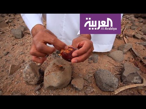 بالفيديو  عيد اليحيى يقدّم وصفات تقليدية لعلاج الأمراض المختلفة