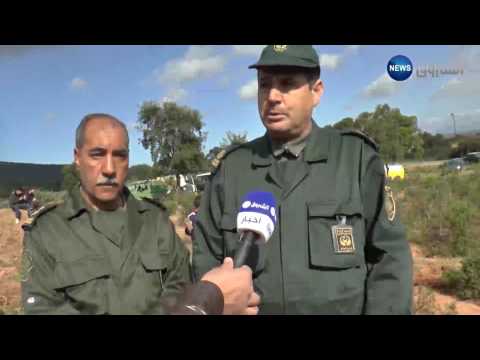 شاهد 60 متورطًا في التعدي على الممتلكات الغابية أمام المحاكم