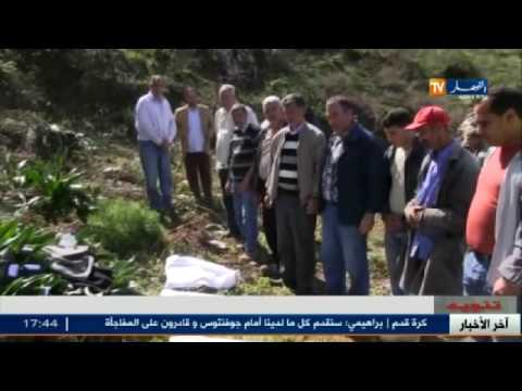 بالفيديو  العثور على ساعة في يد أحد ضحايا معركة بجاية