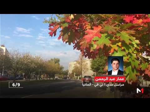 بالفيديو  المستشارة الألمانية تلتقي بالرئيس دونالد ترامب