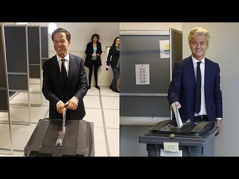 بالفيديو هولندا تنتخب برلمانًا جديدًا من بين 28 حزبًا سياسيًا