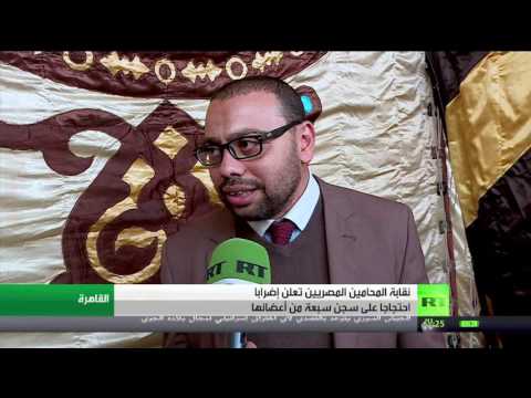 بالفيديو إضراب جديد للمحاميين المصريين