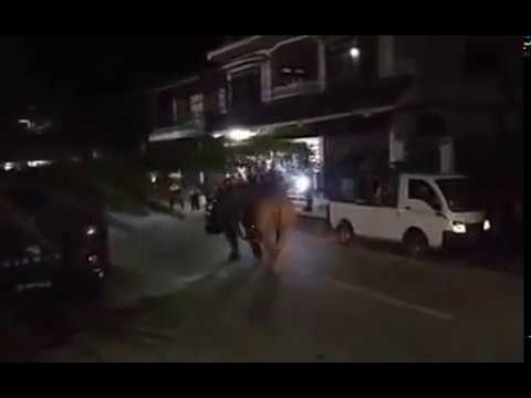 وحيد قرن يتجوّل في أحد الشوارع في قرية صغيرة