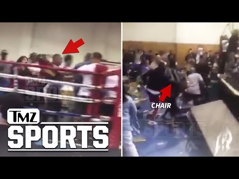 لحظة اندلاع شجار جماعي بين الجمهور داخل حلبة ملاكمة