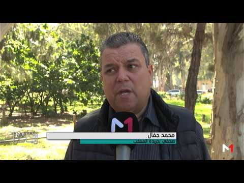 بالفيديو شغب الملاعب هاجس مؤرق يعكّر أجواء الكرة المغربية