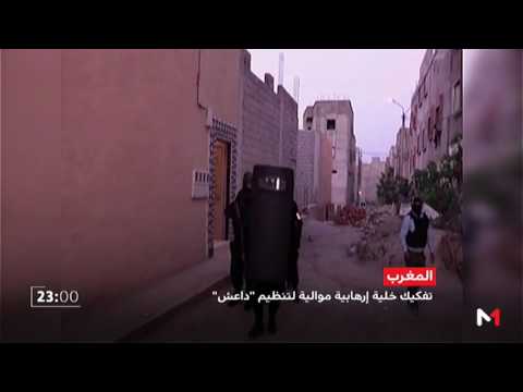 شاهد تفكيك خلية موالية لتنظيم داعش مكونة من 7 عناصر