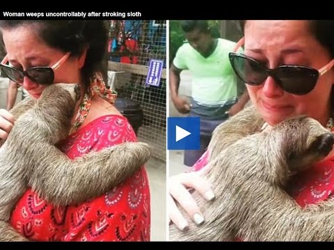 شاهد  رد فعل إمرأة تحمل حيوان الكسلان لأول مرة