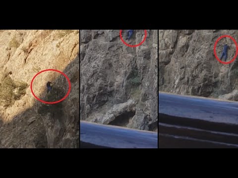 شاهد لحظة سقوط شاب من أعلى جرف في أوريكا