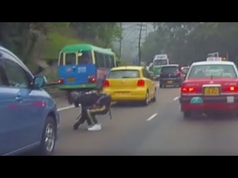 صيني يتحول إلى بطل لإنقاذه قطة صغيرة