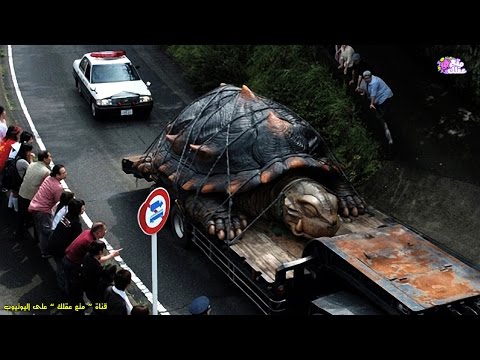 بالفيديو الأفيال ضمن أضخم 10 حيوانات في العالم