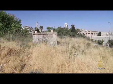 شاهد مقبرة المالحة حتى الموتى طالتهم النكبة