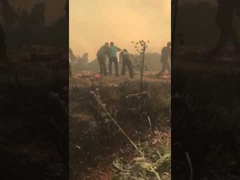 شاهد الملك عبد الله الثاني يطفئ الحريق بيديه