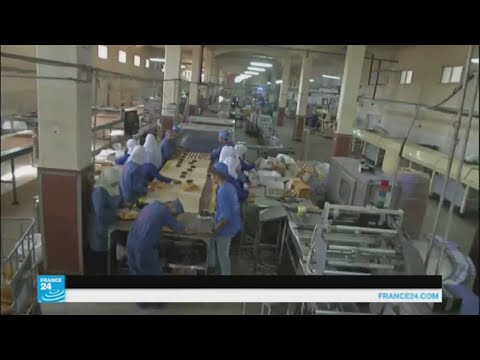 آثار كارثية على القطاع الصناعي في غزة