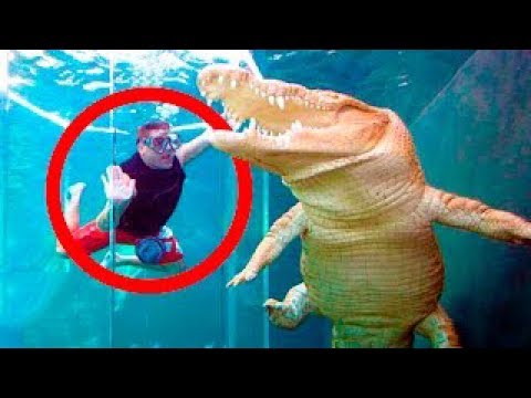 حمامات سباحة لن ترغب في دخولها أبدًا