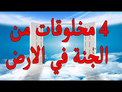أشياء نزلت من الجنة على الأرض