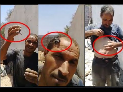 شاهد رجل يمسك العقرب بيديه بدون خوف