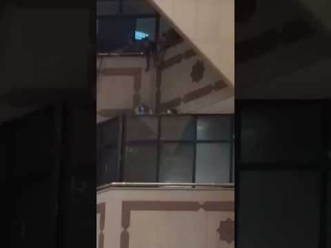 بالفيديو  الدفاع المدني الأردني ينقذ قطة علقت على شرفات قصر العدل