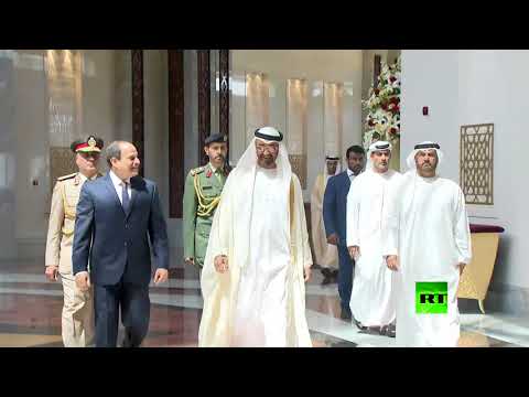 شاهد لحظة استقبال الشيخ محمد بن زايد آل نهيان للرئيس السيسي