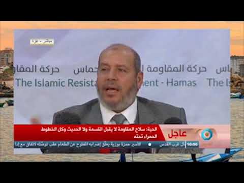 شاهد الحية يكشف عن التشاؤم المصري بعد خروج بيان القاهرة الأخير
