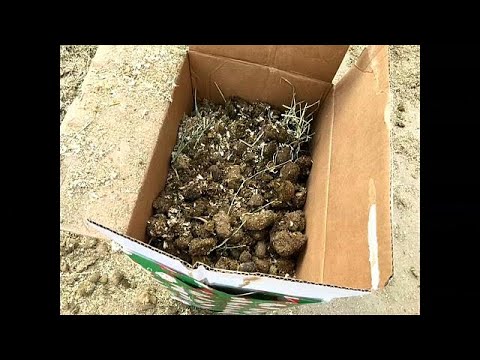وزير الخزانة الأميركي يتلقى روث حيوانات كهدية لعيد الميلاد