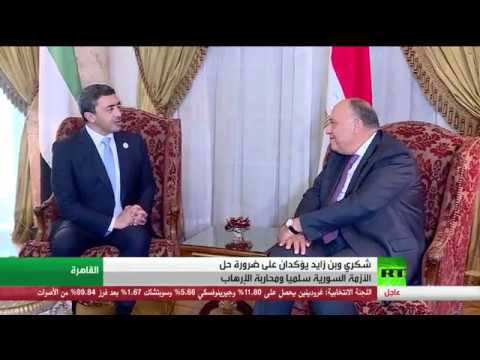 محادثات بن زايد مع شكري في القاهرة