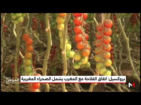 دمج الصحراء المغربية في الاتفاق الفلاحي مع المملكة