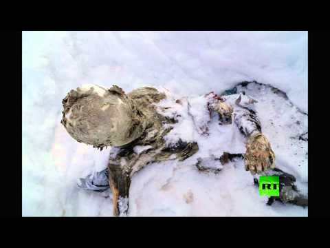 بالفيديو متسلقو جبال يعثرون على جثتين مجمدتين