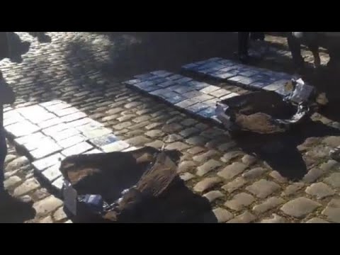 الشرطة الأرجنتينية تحرق كمية كبيرة من الكوكايين صادرتها من السفارة الروسية في بوينس أيرس