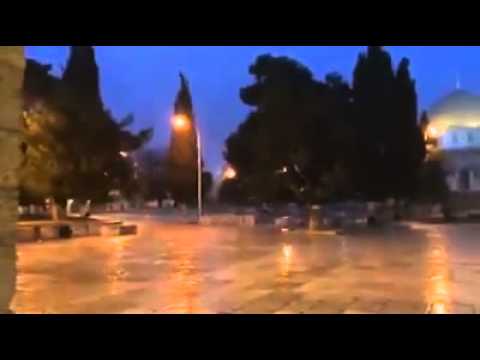 الأمطار تُزين المسجد الأقصى في القدس المحتلة