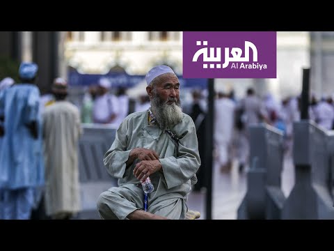 شاهد منظمة الصحة العالمية تشيد بالجهود السعودية الصحية خلال الحج