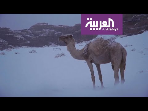 مأساة شاب لبناني فقد عينه اليمنى برصاص الأمن