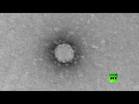 تعرّف على خصائص فيروس كورونا تحت المهجر