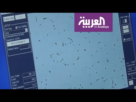 سفارة أميركا حذَّرت قبل عامين من تجارب في ووهان على الخفافيش
