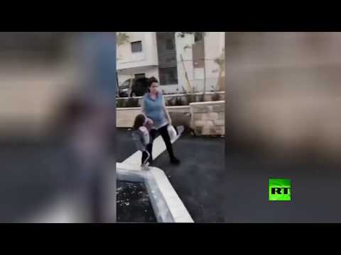 خنازير برية تقتحم حدائق مدينة حيفا في إسرائيل