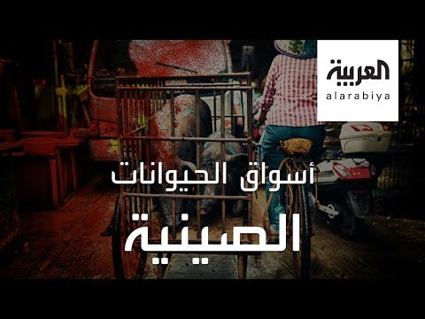 الصين تعيد فتح الأسواق التي صدرت كورونا للعالم