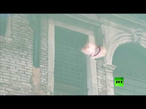 انتعاش الحياة البحرية في قنوات البندقية