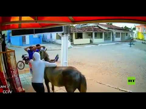 شاهد لصا نينجا يسرقان متجرًا على ظهر حصان في البرازيل