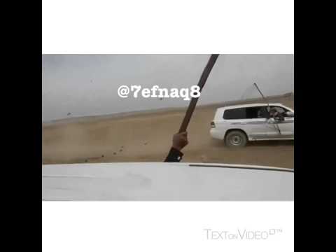 صيد عدد من الطيور في المملكة العربية السعودية