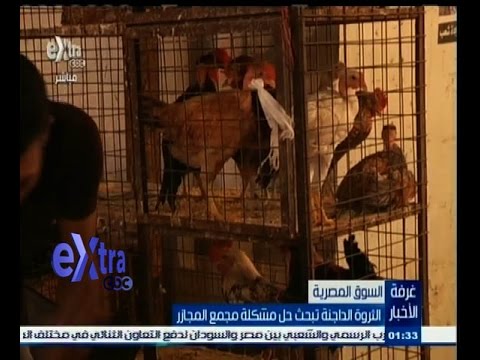 شاهد مشاكل مجمع المجازر وعلاقتها بالدواجن