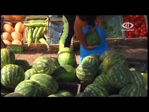 البطيخ المهرب من المستوطنات يعذب المزارعين
