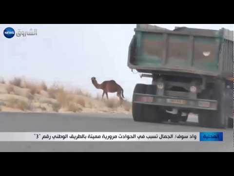 بالفيديو الجمال تتسبب في حوادث مرورية مميتة