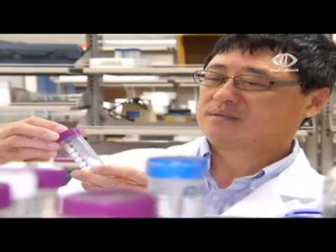 شاهد اكتشاف علاج جديد لمرضى السرطان