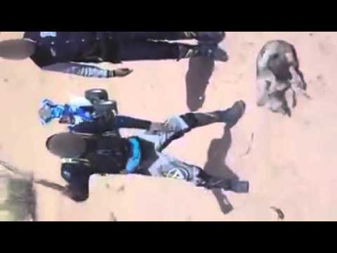 بالفيديو تعذيب حيوان بري بطريقة وحشية في الصحراء الجزائرية