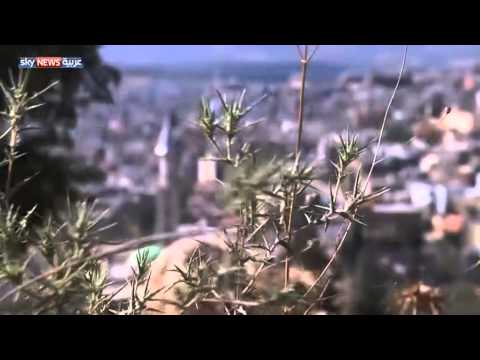 عائلة فلسطينية تنضم إلى تنظيم داعش المتطرف
