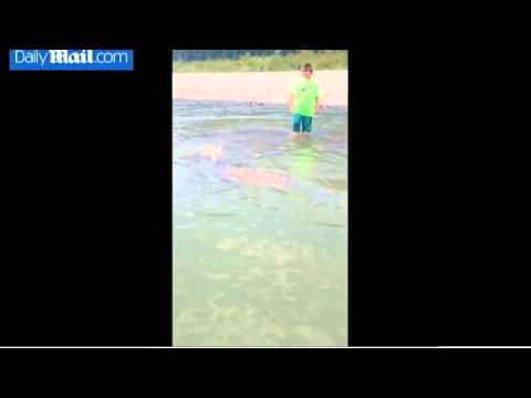 شاهد طفل في التاسعة يصطاد سمكة وزنها 300 كيلوجرام