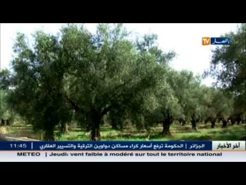 مزارعو بلدية يلل يطالبون بتوفير مياه الري