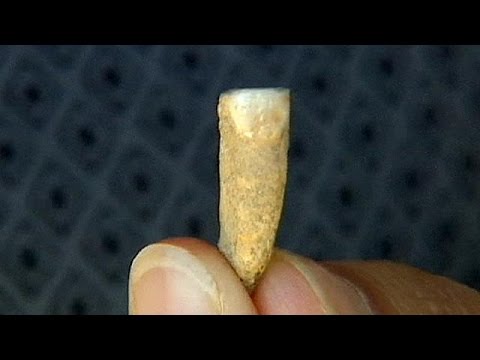 شاهد طالبان يعثران على أقدم بقايا بشرية