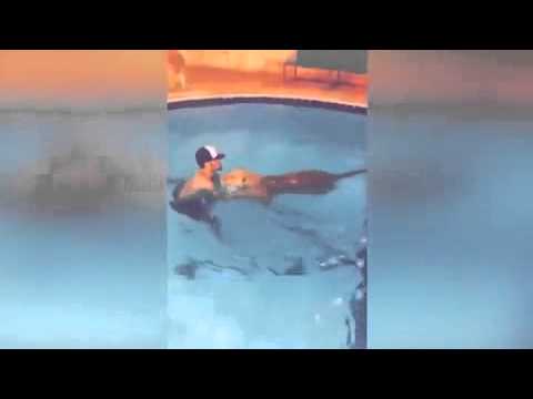 شاهد أسد ينسى مكانته بين ملوك الغابة