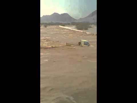 شاهد مصير سائق حاول تحدي مجرى السيل